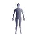 Anatomy of male muscular system. Grey human wireframe hologram Royalty Free Stock Photo