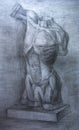 Anatomy Muscles.Drawing studio works