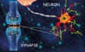 Anatomy neyron cells. Transmission signal of impulse in a living organism. Signaling in the brain. Neural connections in