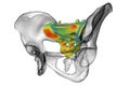Anatomy of the sacrum bone, showcasing its intricate details and features, 3D illustration