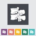 Anatomy spine flat icon.