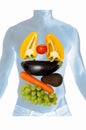 Anatomy with vegetables and fruits