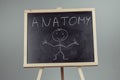 Anatomy word written on chalkboard