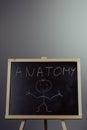 Anatomy word written on chalkboard