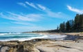 Australian Sunshine Coast beach with volcanic rock in the foreground and people and dogs enjoying the sunny day