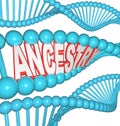 Ancestry Word in DNA Research Your Genealogy Ancestors Royalty Free Stock Photo