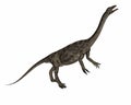 Anchisaurus dinosaur -3D render Royalty Free Stock Photo