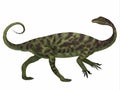 Anchisaurus Dinosaur Side Profile