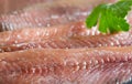 Anchois fisch fillet in oil closeup Royalty Free Stock Photo