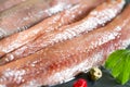 Anchois fisch fillet in oil closeup Royalty Free Stock Photo