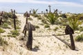 Anchor cemetery in Portugal