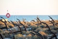 Anchor Graveyard at Praia do Barril, Tavira, Algarve, Portugal