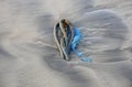 Anchor in sand buried deep with hands