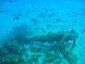 Anchor from a Shipwreck at the bottom of the ocean Royalty Free Stock Photo