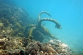 Anchor under the sea Royalty Free Stock Photo