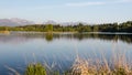 Anchorage's Westchester Lagoon Royalty Free Stock Photo