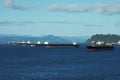 Anchored bulk cargo vessels observed from merchant container ship sailing through Columbia river, Oregoni Royalty Free Stock Photo
