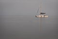 Anchored Caribbean sailboat at dusk on isolated simple background