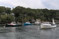 Anchored Lobster Boats in New Harbor, Maine