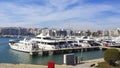 Visiting the Catania dock on a summer day