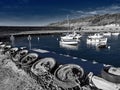 Anchors Along The Wharf At Lyme Regis With Tones