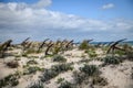 Barril Beach Algarve Portugal