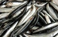 Anchovies close up view, fresh fishes caught