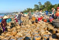 Anchovies hard burden on the coast