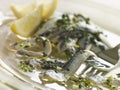 Anchovies marinated in Herbs Garlic and Lemon Royalty Free Stock Photo