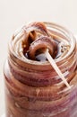 Anchovy Royalty Free Stock Photo