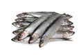 Anchovy Royalty Free Stock Photo