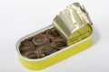 Anchovy Royalty Free Stock Photo