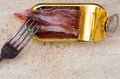 Anchovy fillets in a tin can Royalty Free Stock Photo