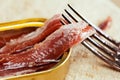 Anchovy fillets in a tin can Royalty Free Stock Photo