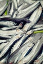 Anchovy in a fish market