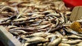 Anchovy from fishmonger in Spain with flies Royalty Free Stock Photo