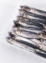 Fresh Raw Anchovies, Stock Photo Royalty Free Stock Photo