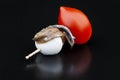 Anchovy pincho with tomato and mozzarella