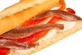 Anchovy sub Royalty Free Stock Photo