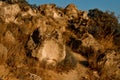 ancien yellow sandy stones on cliff of Fiolent with dry grass and bushes on Black Sea coast in the light of sunset