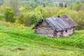 Old abandoned barn on the background of the forest, mystical landscape