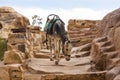 Ancient abandoned rock city of Petra in Jordan Royalty Free Stock Photo