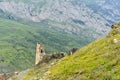 The ancient abandoned village of Tsmiti in the Kurtatinsky gorge in the mountains of the North Caucasus. Republic of North Ossetia