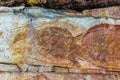 Ancient Aboriginal Art: hand prints, animal herds, spiral, Kakadu National Park, Australia Royalty Free Stock Photo