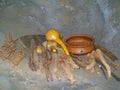 Ancient African natural crockery made with natural things.