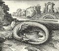 Ancient alchemical abstract image of michael maier`s ouroboros