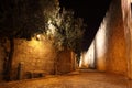 Ancient Alley in Jewish Quarter, Jerusale