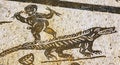 Ancient Alligator Person Mosaic Italica Roman City Seville Andalusia Spain