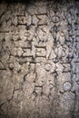 Ancient Alphabets on Marble Background Royalty Free Stock Photo