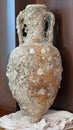 Amphora Royalty Free Stock Photo